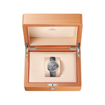 Carregue a imagem no visualizador da Galeria, Relógio Omega DE VILLE PRESTIGE 424.13.40.21.06.001 39.5 mm