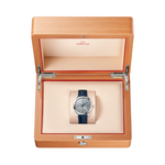 Carregue a imagem no visualizador da Galeria, Relógio Omega SEAMASTER AQUA TERRA 220.13.41.21.06.001 41 mm