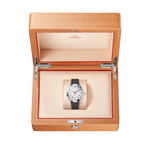 Carregue a imagem no visualizador da Galeria, Relógio Omega SEAMASTER AQUA TERRA 220.12.41.21.02.002 41 mm