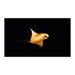 Carregue a imagem no visualizador da Galeria, Relógio Carl F. Bucherer Patravi ScubaTec 44.6mm 00.10632.23.33.01