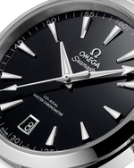 Carregue a imagem no visualizador da Galeria, Relógio Omega Seamaster Aqua Terra 150M 41 mm 220.10.41.21.01.002