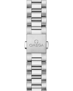 Carregue a imagem no visualizador da Galeria, Relógio Omega Seamaster Aqua Terra 150M 41 mm, 220.10.41.21.03.006