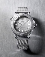 Carregue a imagem no visualizador da Galeria, Relógio Omega Seamaster Diver 300M 42 mm, 210.30.42.20.06.002