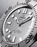 Carregue a imagem no visualizador da Galeria, Relógio Omega 210.32.42.20.06.002 Seamaster Diver 300M 42mm