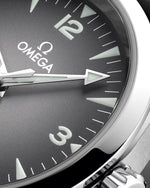 Carregue a imagem no visualizador da Galeria, Relógio Omega 235.12.38.20.06.001 Seamaster Railmaster 38 mm