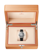 Carregue a imagem no visualizador da Galeria, Relógio Omega 235.12.38.20.06.001 Seamaster Railmaster 38 mm