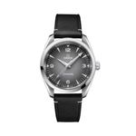 Carregue a imagem no visualizador da Galeria, Relógio Omega 235.12.38.20.06.001 Seamaster Railmaster 38 mm