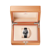 Relógio Omega SEAMASTER AQUA TERRA 220.13.41.21.01.001 41 mm