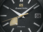 Carregue a imagem no visualizador da Galeria, Relógio Grand Seiko SBGA489 Heritage Collection Spring Drive