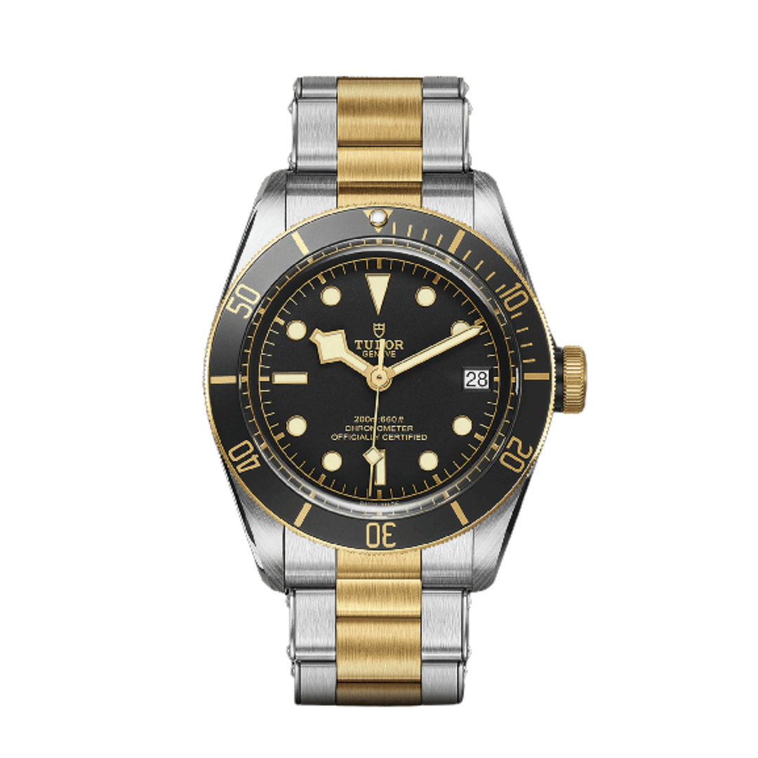 Relógio Tudor BLACK BAY S&G - M79733N-0008 - 41mm