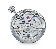Relógio Grand Seiko SLGA019 Evolution 9 Collection Titânio
