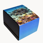 Carregue a imagem no visualizador da Galeria, Relógio Bulova 98B445 Snorkel Peixe Blue Tang Hybrid Ceramic
