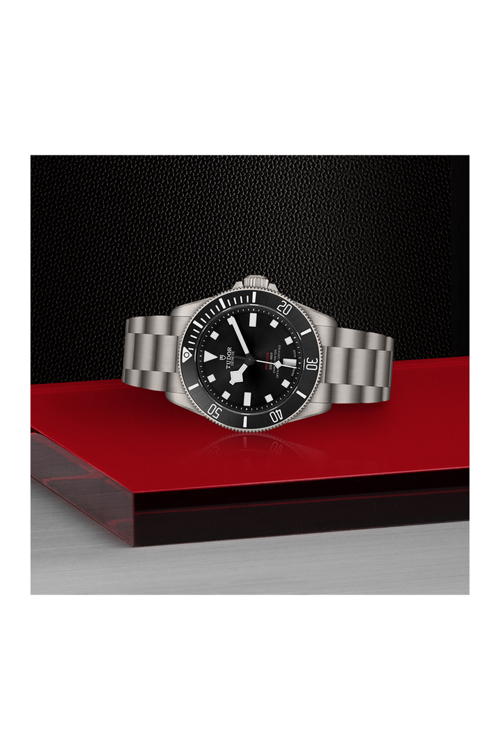 Relógio Tudor Pelagos 39mm M25407N-0001 Titânio