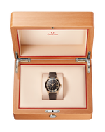 Carregue a imagem no visualizador da Galeria, Relógio Omega 234.92.41.21.10.001 Seamaster 300 41mm Bronze gold
