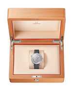 Carregue a imagem no visualizador da Galeria, Relógio Omega 210.32.42.20.06.002 Seamaster Diver 300M 42mm
