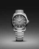 Carregue a imagem no visualizador da Galeria, Relógio Omega Seamaster Railmaster 38mm 235.10.38.20.06.001 Automático
