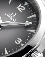Carregue a imagem no visualizador da Galeria, Relógio Omega Seamaster Railmaster 38mm 235.10.38.20.06.001 Automático
