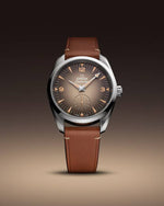 Carregue a imagem no visualizador da Galeria, Relógio Omega 235.12.38.20.13.001 Seamaster Railmaster 38 mm