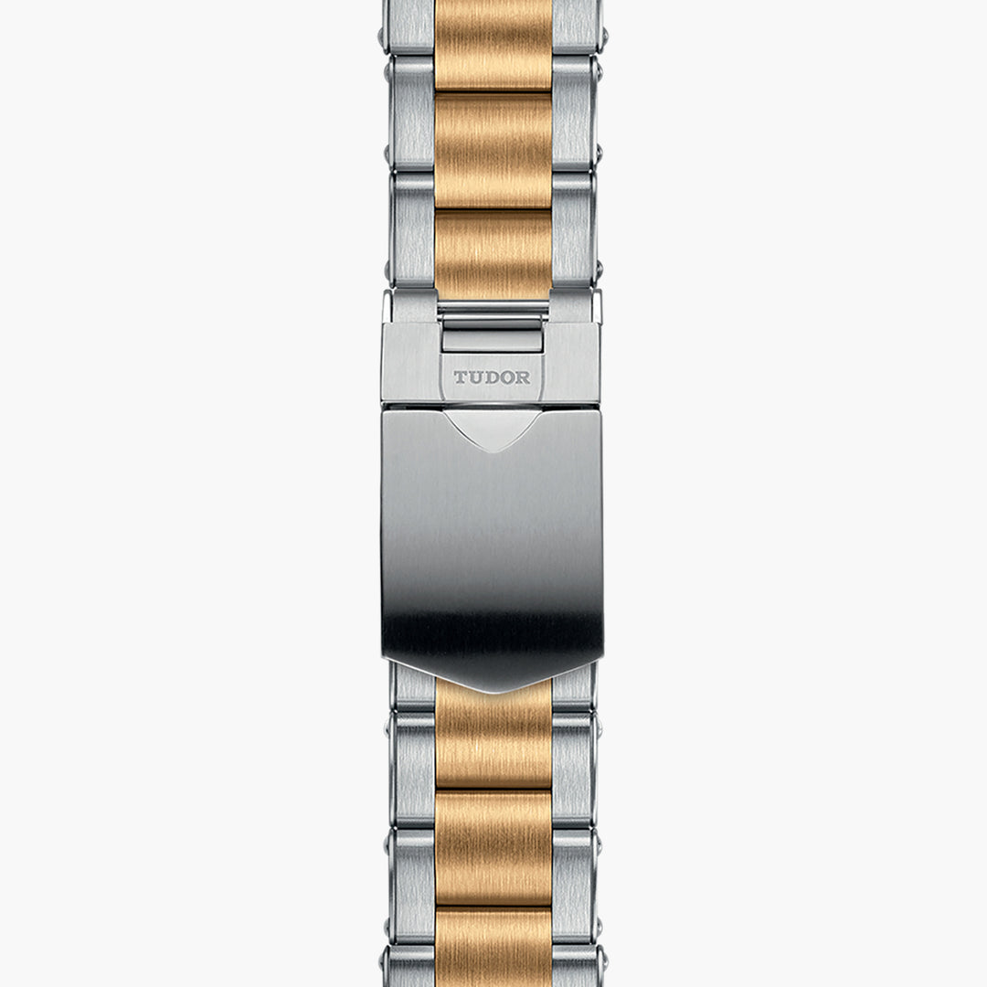 Relógio Tudor BLACK BAY S&G - M79733N-0008 - 41mm