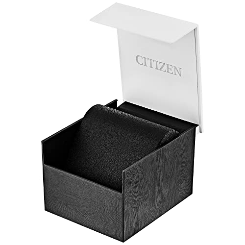 Relógio Citizen BF0580-57L - Quartzo - 40mm - Pendulum Relojoaria